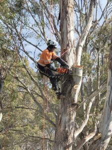 Australian Capital Territory