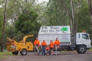 Seventeen Mile Rocks